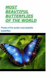 Most Beautiful Butterflies of the World