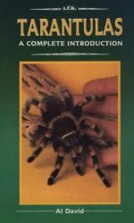 Tarantulas : A Complete Introduction