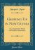 Growing up in New Guinea : A Comparative Study of Primitive Education (Classic Reprint)