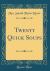 Twenty Quick Soups (Classic Reprint)