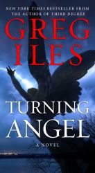 Turning Angel : A Novel