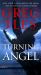 Turning Angel : A Novel