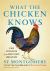 What the Chicken Knows : A New Appreciation of the World's Most Familiar Bird