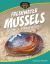 Freshwater Mussels : Legion of Super Mollusks