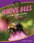 Native Bees : The Sensational Swarm