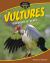 Vultures : Disposers of Death