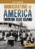 Immigrating to America Through Ellis Island : A History-Seeking Adventure