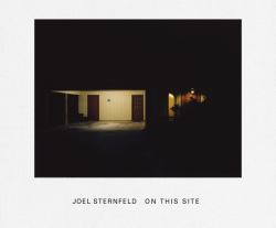 Joel Sternfeld: on This Site