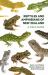 Reptiles and Amphibians of New Zealand : A Field Guide