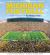 Michigan Football : The History of the Nation's Winningest Program