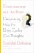 Consciousness and the Brain : Deciphering How the Brain Codes Our Thoughts