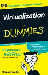 Virtualization for Dummies (Custom)