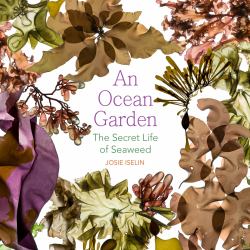 An Ocean Garden : The Secret Life of Seaweed