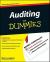 Auditing For Dummies