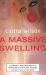 A Massive Swelling : Celebrity Re-Examined as a Grotesque, Crippling Disease and Other Cultural Revolutions