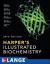 Harper's Illustrated Biochemistry, 28th Edition