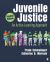 Juvenile Justice : An Active-Learning Approach