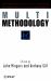 Multimethodology : Towards Theory and Practice and Mixing and Matching Methodologies