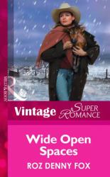 Wide Open Spaces (Mills & Boon Vintage Superromance) (Home on the Ranch, Book 23)