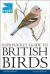 RSPB Pocket Guide to British Birds : Second Edition