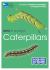 RSPB ID Spotlight - Caterpillars