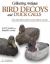 Collecting Antique Bird Decoys and Duck Calls : An Identification and Value Guide