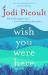 Wish You Were Here : A Novel