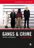 Gangs and Crime : Critical Alternatives