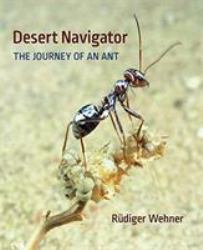 Desert Navigator : The Journey of an Ant