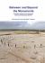 Between and Beyond the Monuments : Prehistoric Activity on the Downlands South-East of Amesbury