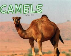 Camels