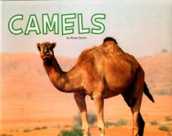 Camels