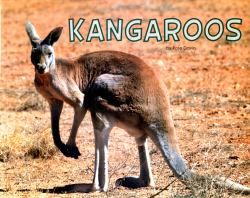 Kangaroos