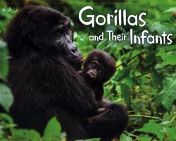 Gorillas and Their Infants