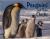 Penguins and Their Chicks : A 4D Book