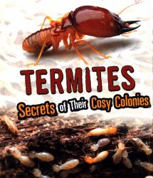 Termites : Secrets of Their Cozy Colonies