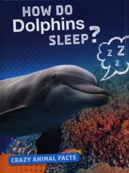 How Do Dolphins Sleep?