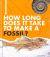 How Long Does It Take to Make a Fossil?