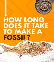 How Long Does It Take to Make a Fossil?