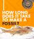 How Long Does It Take to Make a Fossil?