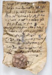 Arabic Documents from Early Islamic Khurasan