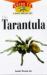 The Tarantula : An Owner's Guide to a Happy, Healthy Pet