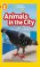 Animals in the City