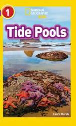 Tide Pools