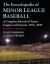 The Encyclopedia of Minor League Baseball : A Complete Record of Teams, Leagues and Seasons, 1876-2019, 4th Ed