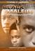 Black Male(d) : Peril and Promise in the Education of African American Males