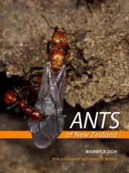 Ants of New Zealand