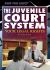 The Juvenile Court System : Your Legal Rights