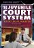 The Junevile Court System : Your Legal Rights