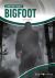 Bigfoot